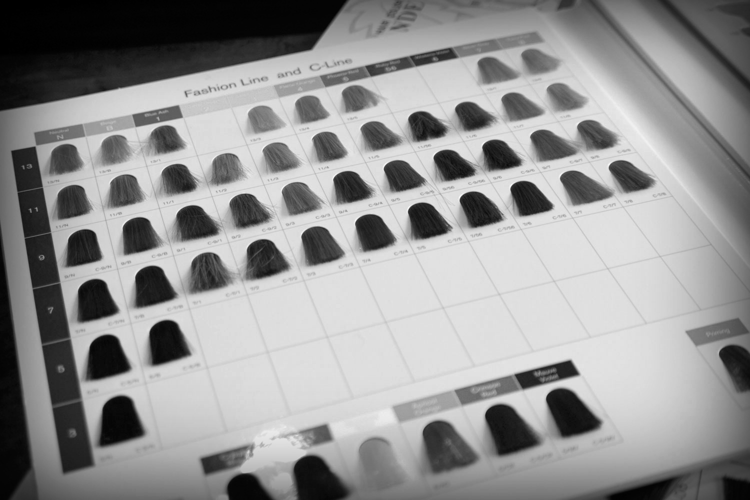 ヘアー用カラーサンプル